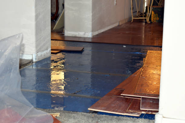 Professional Basement Flood Cleanup technician working in Vernon, MI